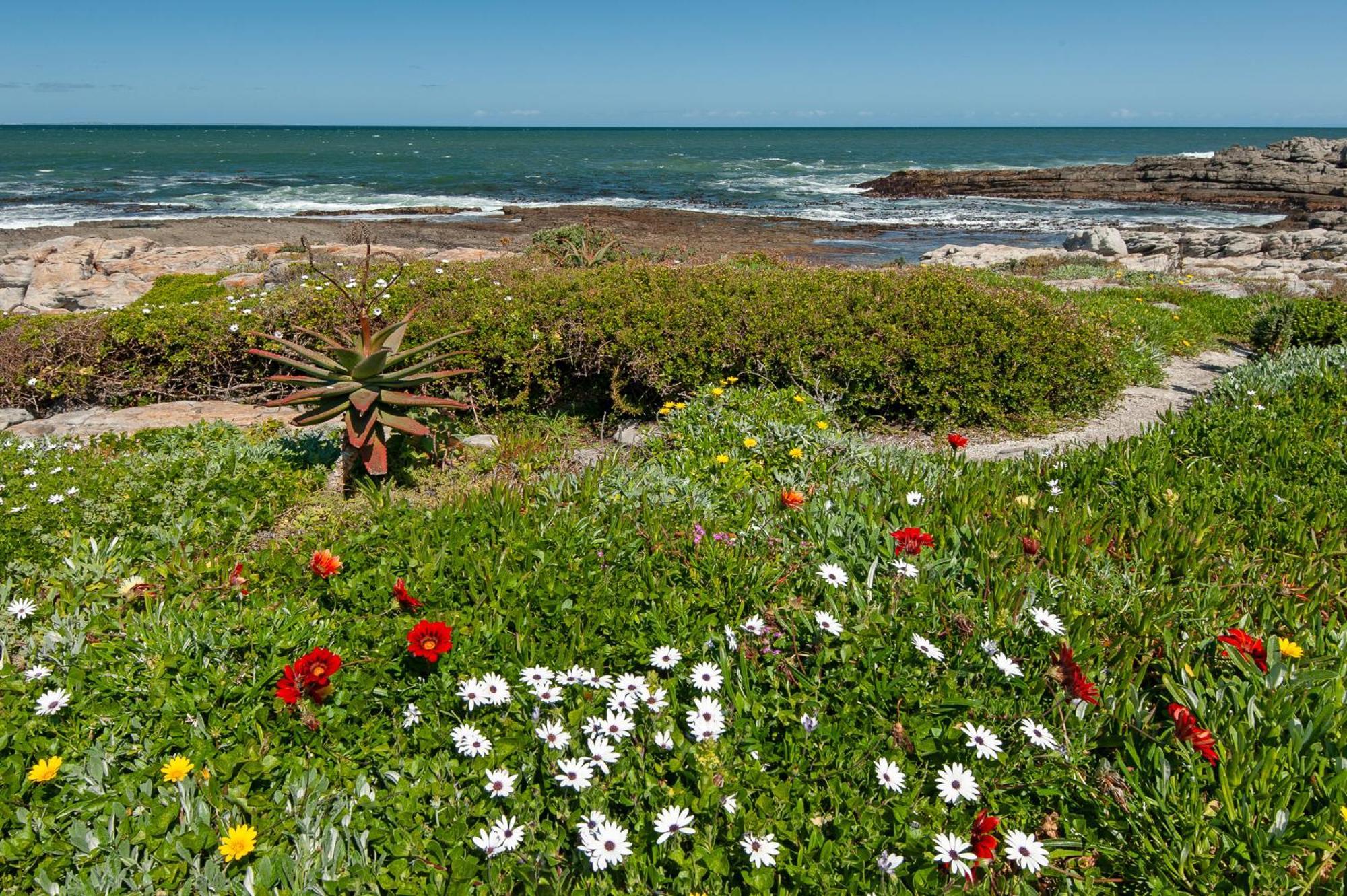 64 Whalerock Estate Apartment Hermanus Luaran gambar